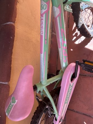 Bicicleta infantil verde y rosa