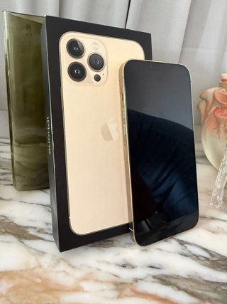 iPhone 13 Pro Max Oro Come Nuovo 1TB