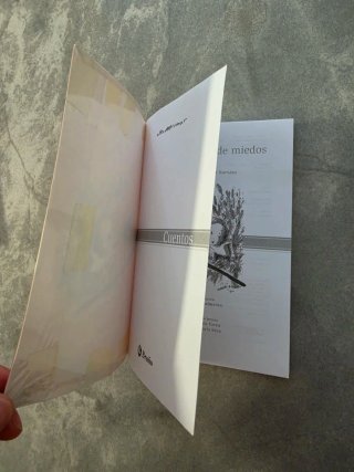 Libro, Un Puñado De Miedos.