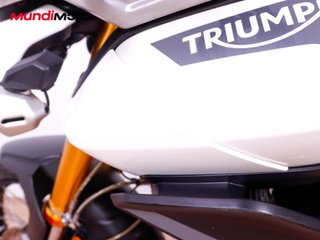 TRIUMPH TIGER 900 RALLY PRO