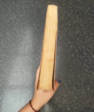 Libro el mundo encantado de Ela