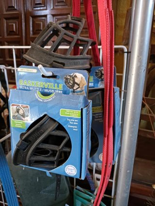 Material canino