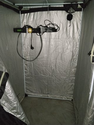 Kit cultivo indoor