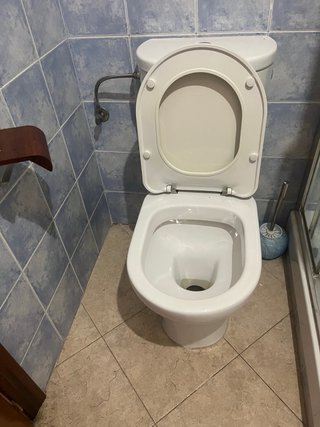 Inodoro WC Bellavista Blanco
