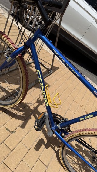 Bicicleta Condor Pro Bike 18 Speeds