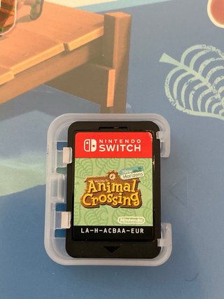 Animal Crossing: New Horizons Nintendo Switch