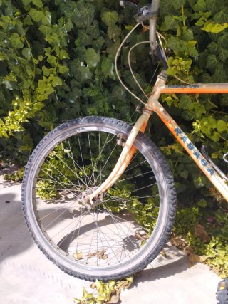 Bicicleta Derbi Rabassa Antigua