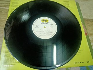 Vinilo Terapia Nacional