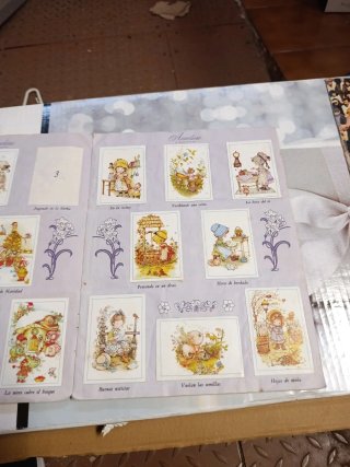 Album Cromos Dias Felices Bonnie