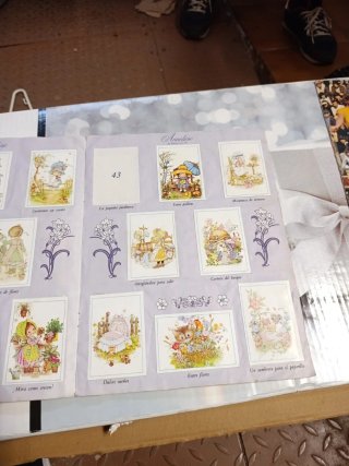 Album Cromos Dias Felices Bonnie