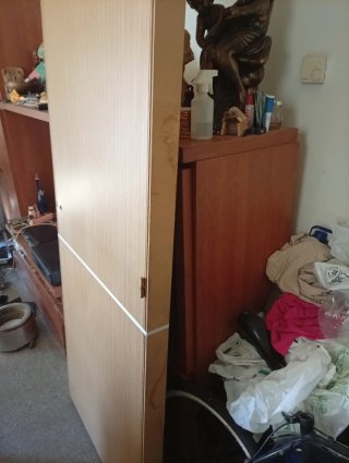 Puerta interior roble con bisagras y premarco