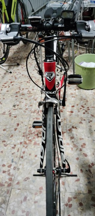 Bicicleta Carretera Carbono Talla S