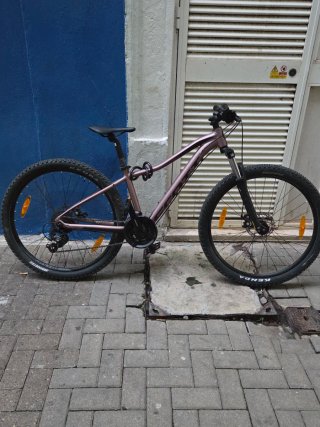 Bicicleta Montaña Rosa SCOOT