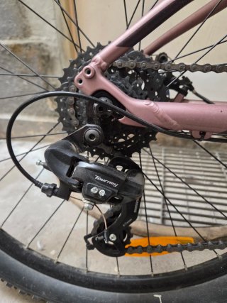 Bicicleta Montaña Rosa SCOOT