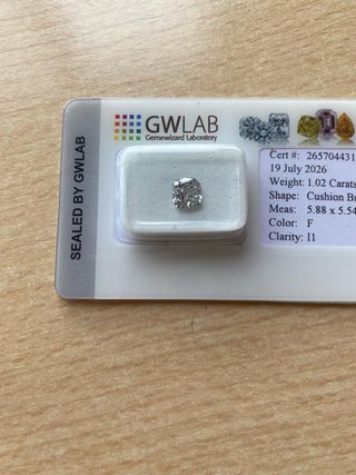 Diamante 1.02ct Cushion F I1 GWLAB