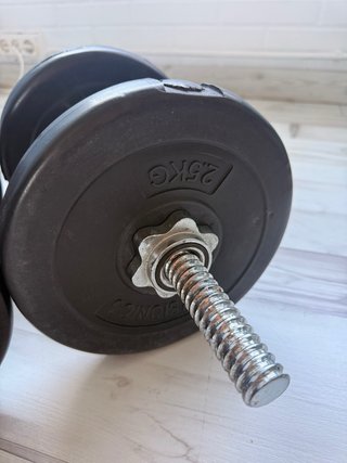 Manubri regolabili + dischi da 2,5 kg