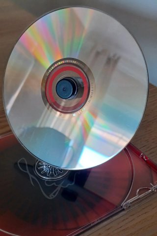 CD Sean Paul Dutty Rock
