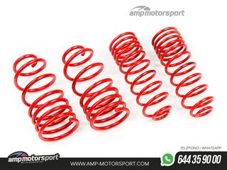 MUELLES DEPORTIVOS MTS TECHNIK MTSXOP227
