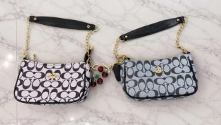 Bolsos Negros de marca hombre y uno de mujer coach