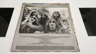 Scatterbrain - Here Comes Trouble Vinilo Punk Rock