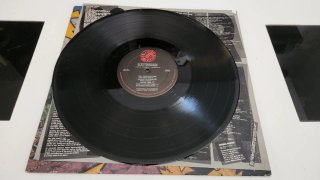 Scatterbrain - Here Comes Trouble Vinilo Punk Rock