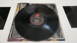 Scatterbrain - Here Comes Trouble Vinilo Punk Rock
