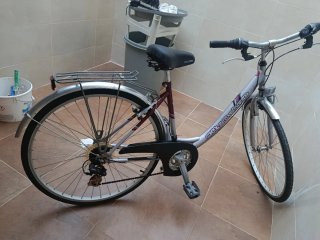 Bicicleta City Deluxe Mujer