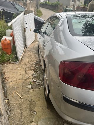 Peugeot 407 2007