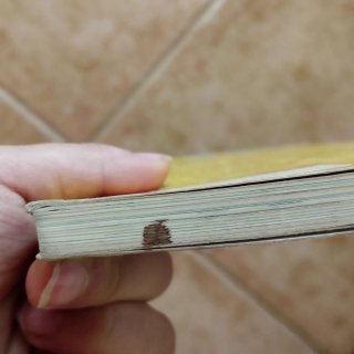 "Geronimo Stilton. El galió dels gats pirates"