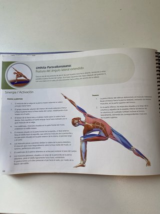 Las posturas clave en el Hatha Yoga