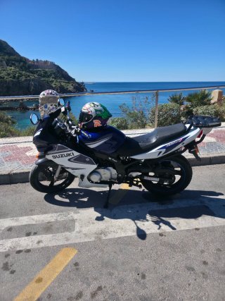 Suzuki GS 500F 2006