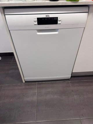 Lavavajillas AEG FAVORIT FFB53910 ZW