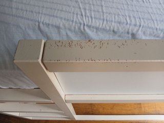 Cama alta 90x200 con escalera y 2 colchones