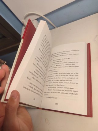 Irakasle desagertuaren kasua
