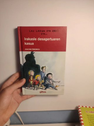 Irakasle desagertuaren kasua