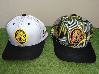 Gorras de Venezuela Magallanes y Leones