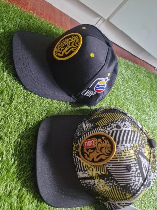 Gorras de Venezuela Magallanes y Leones