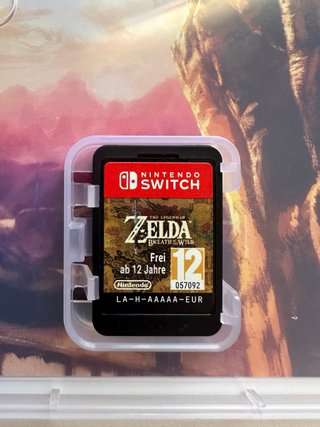 The Legend of Zelda Breath of the Wild Switch