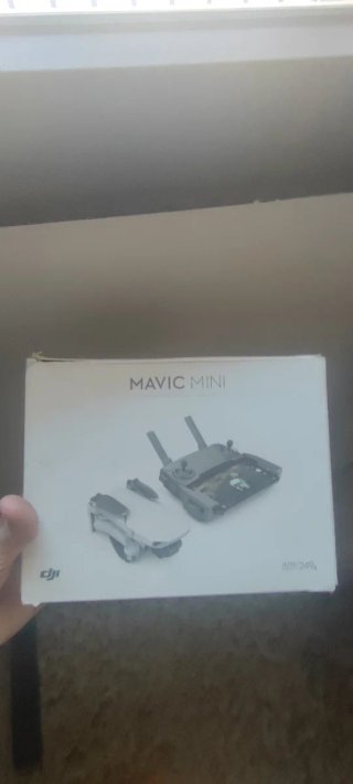 Dji Mavic Mini Drone Gris