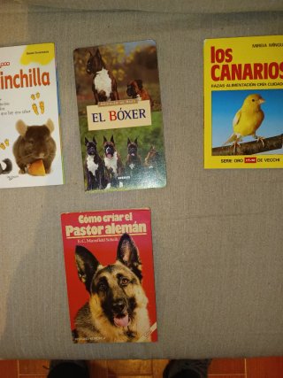 Lote 16 libros infantiles