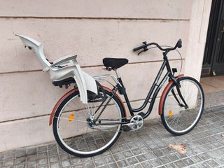 Bicicleta paseo
