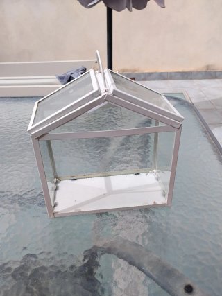Casa de cristal para plantas