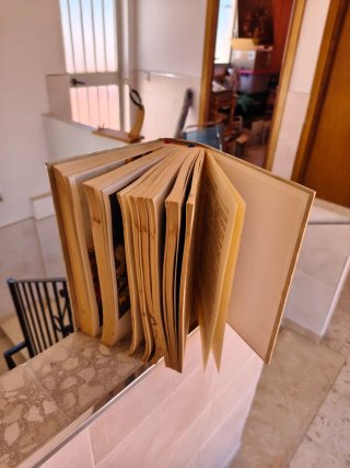 BIBLIA ANTIGUA "Félix torres amat"
