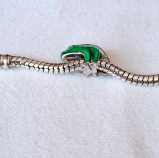 Charm Camaleón Pascal