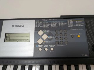 Teclado Yamaha YPT-230
