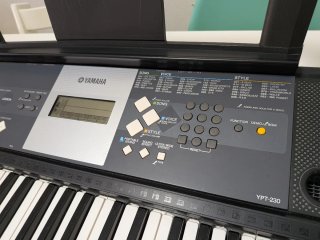 Teclado Yamaha YPT-230