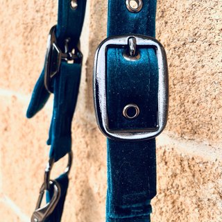 Cabezada de cuadra de terciopelo azul