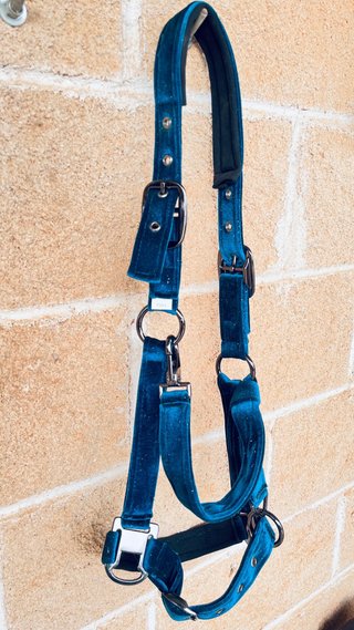 Cabezada de cuadra de terciopelo azul