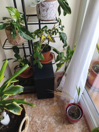 Samsung TV 85 + Barra Sonido