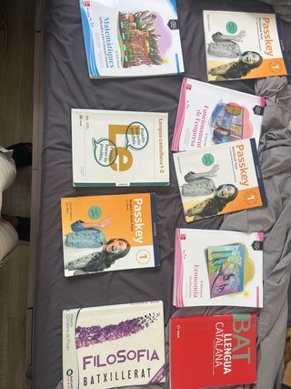 Libros paea 1 batchillerato social